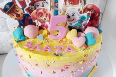 DYTYACHI-TORTY-181