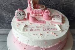 DYTYACHI-TORTY-27