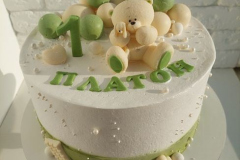 DYTYACHI-TORTY-66
