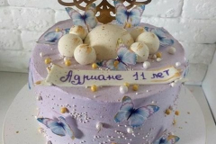 DYTYACHI-TORTY-94