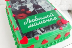 FOTOTORTY-28
