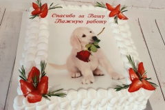 FOTOTORTY-3