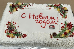 NOVYY-RIK-20