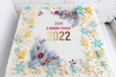 NOVYY-RIK-33