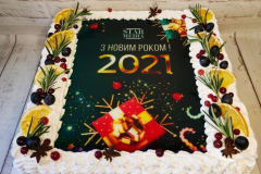 NOVYY-RIK-75