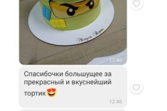VIDHUKY-93